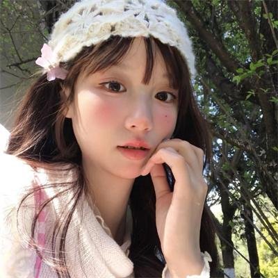 锦囊妙录