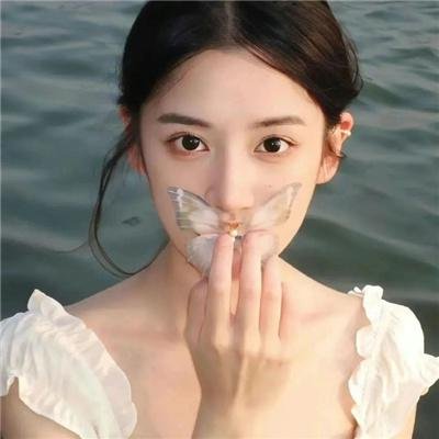 波士顿布莱奇中国历险记